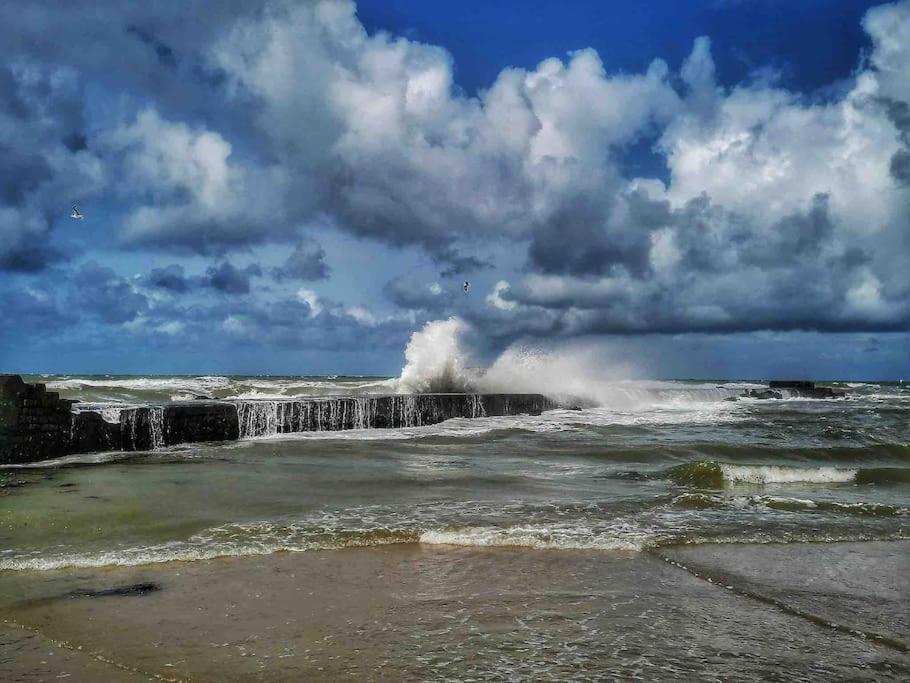 Appartement Duplex La Cambu'Z Le Portel Plage المظهر الخارجي الصورة